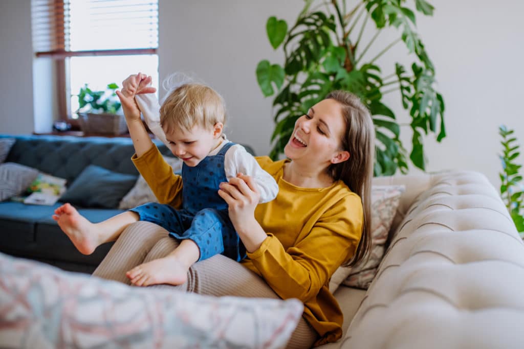 Illinois state disbursement unit navigating the sdu as a parent