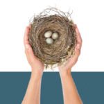 photo of two hands cradling a birdnest from Pro Legal Care LLC blog post titled "What is birdnesting in divorce?"
